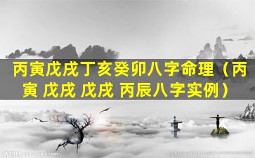 丙寅戊戌丁亥癸卯八字命理（丙寅 戊戌 戊戌 丙辰八字实例）